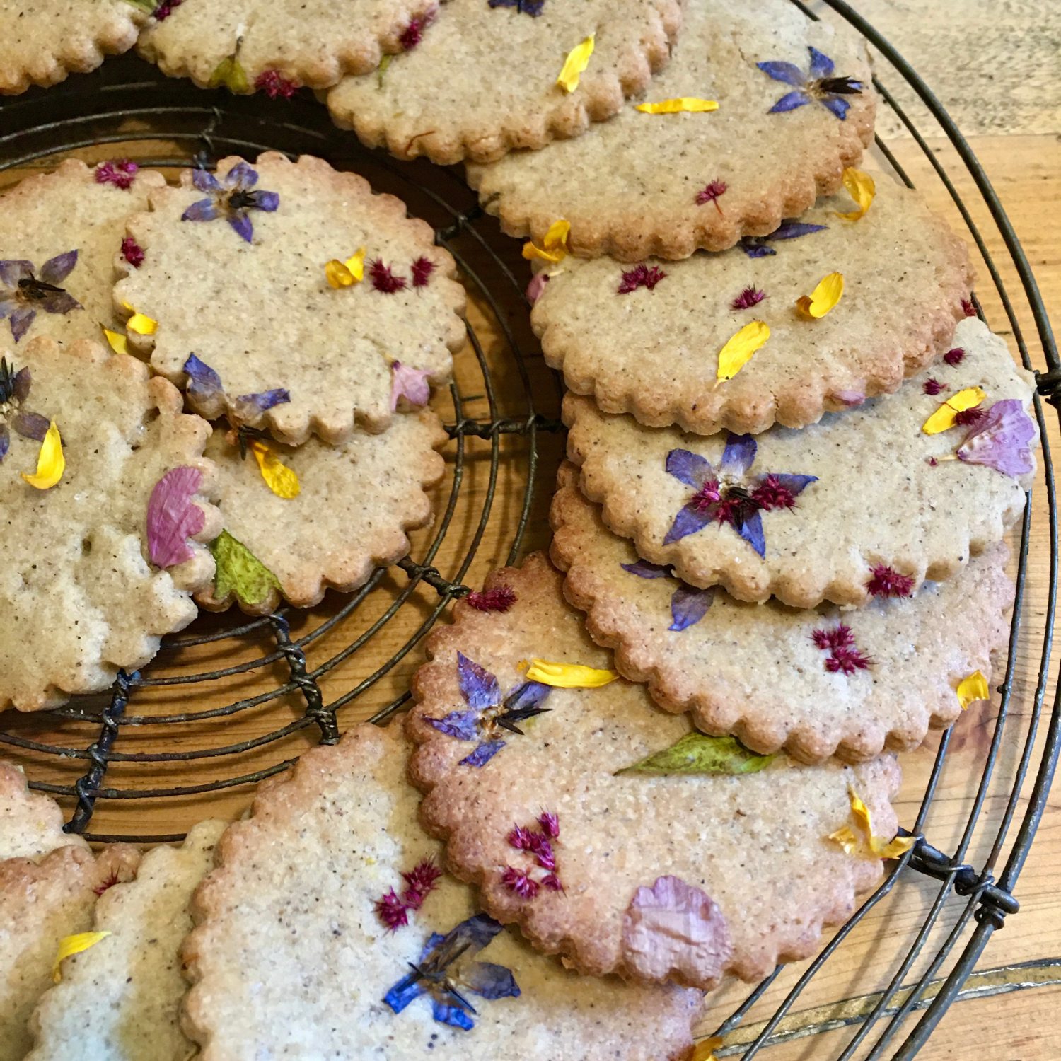 l'herbe_sauvage_Isabelle_Géraud©Isabelle Morison