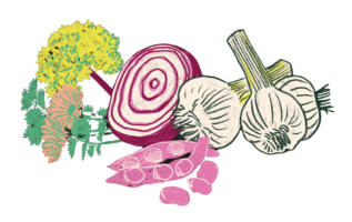 Illustration_l'herbe sauvage_Isabelle_Géraud_Studio_Champ_Libre